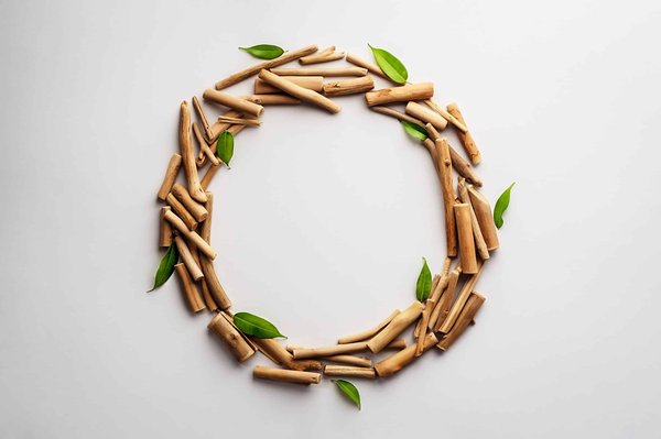 Quels sont les défis de la conservation de l'eau dans le monde ?